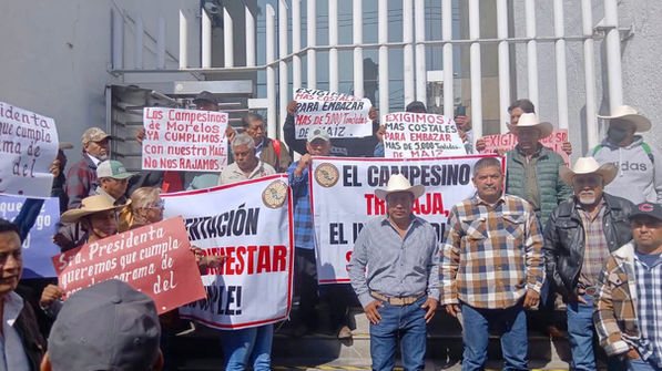 Organizaciones agrícolas se van a paro nacional 