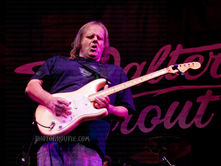 WALTER TROUT LIVE REVIEW
