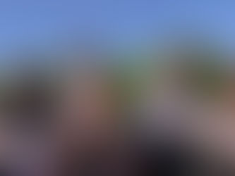 Q & A WITH ALIEN FEELINGS