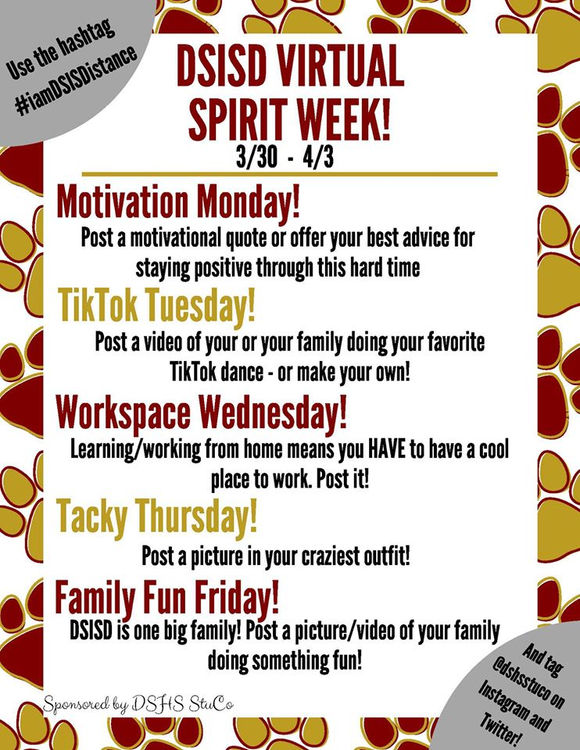 DSHS STUDENT COUNCIL ANNOUNCES DISTRICT "VIRTUAL SPIRIT WEEK"