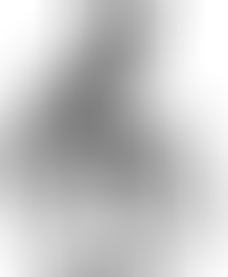 DSHS CHOIRS SUCCESSFUL AT UIL COMPETITION