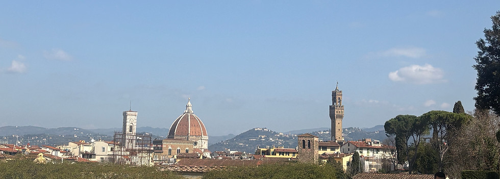 Florence skyline with the Duomo and Palazzo Vecchio tower seen from the Boboli Gardens