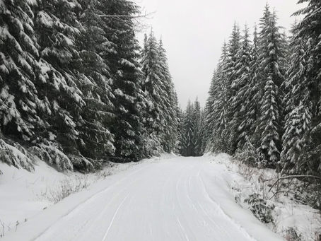 Snow!