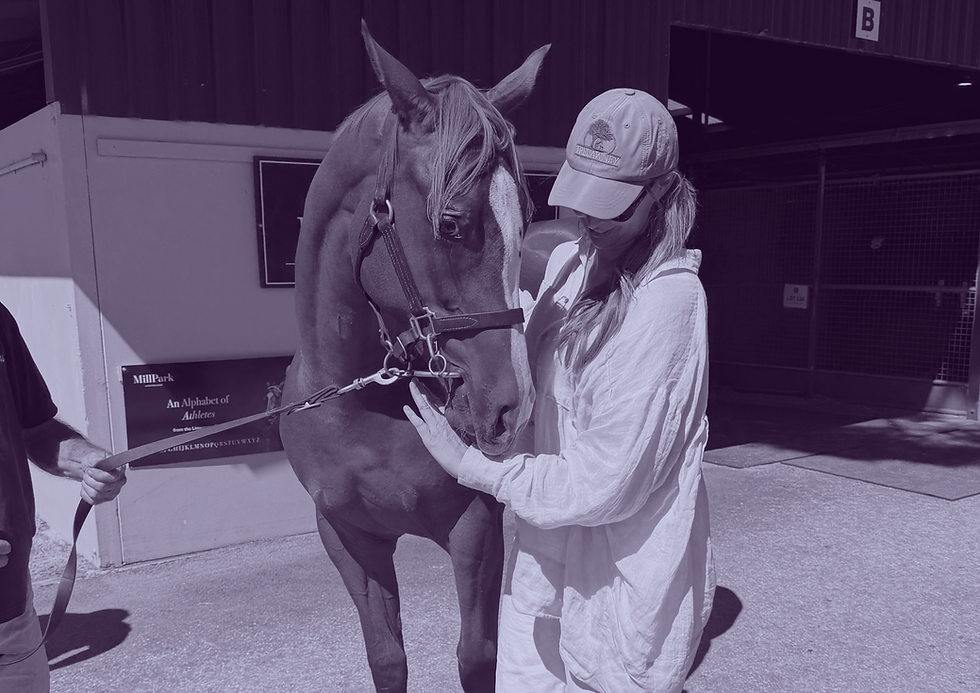 ADB Sale Recap: Magic Millions March & Adelaide