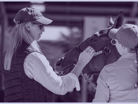 Breeding Stock Opportunities: Weanlings & Broodmares Ahead of the Upcoming Sales