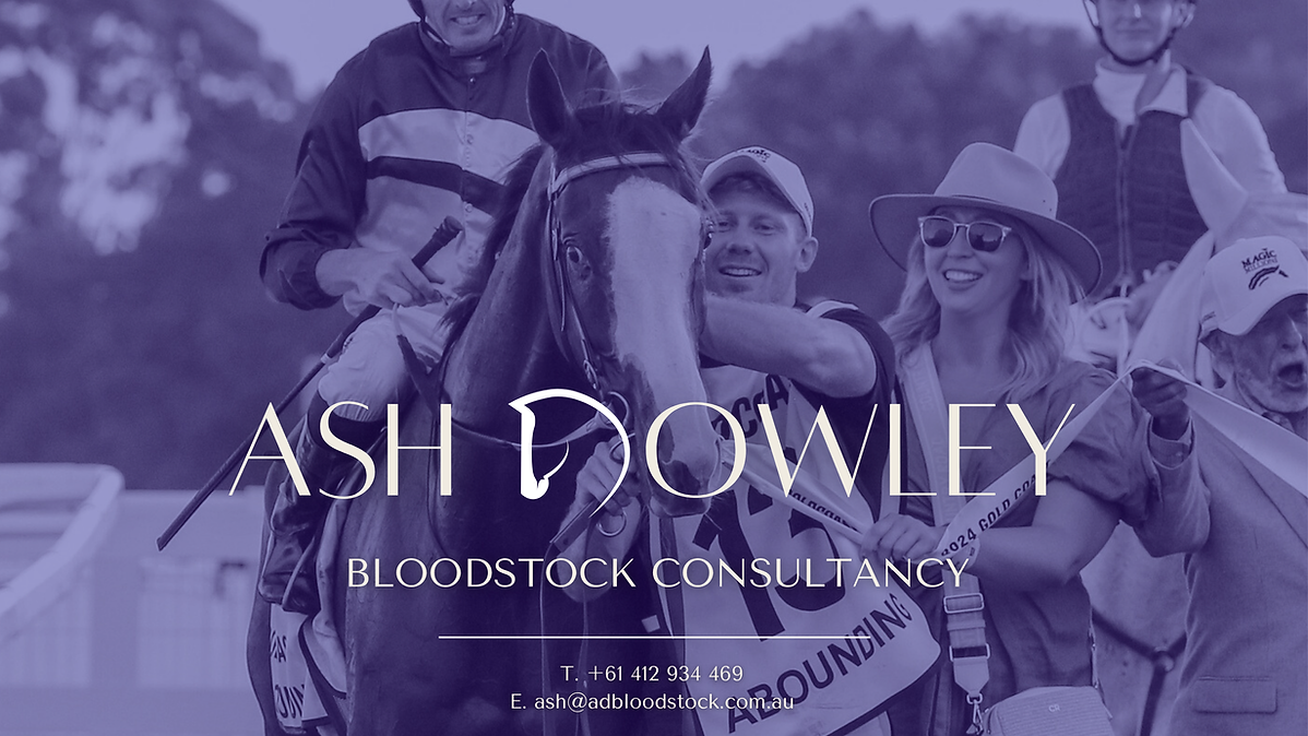 Ash dowley BS (3).png