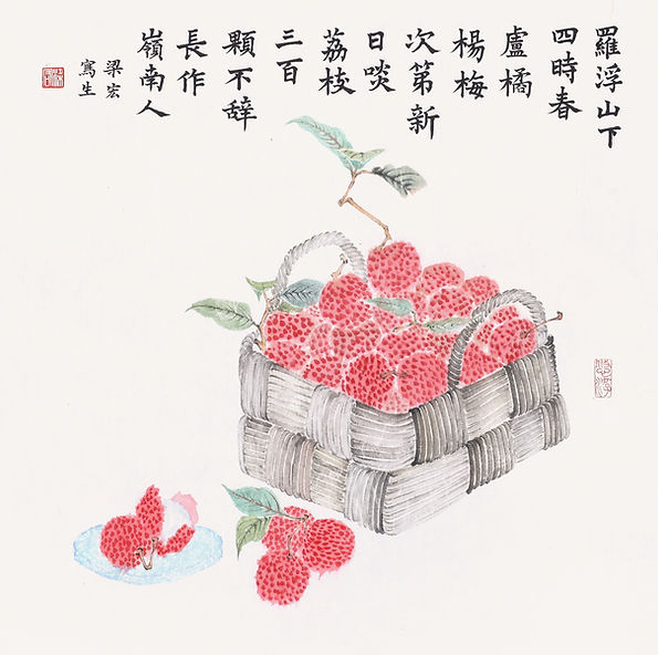 Lychee | Watercolor