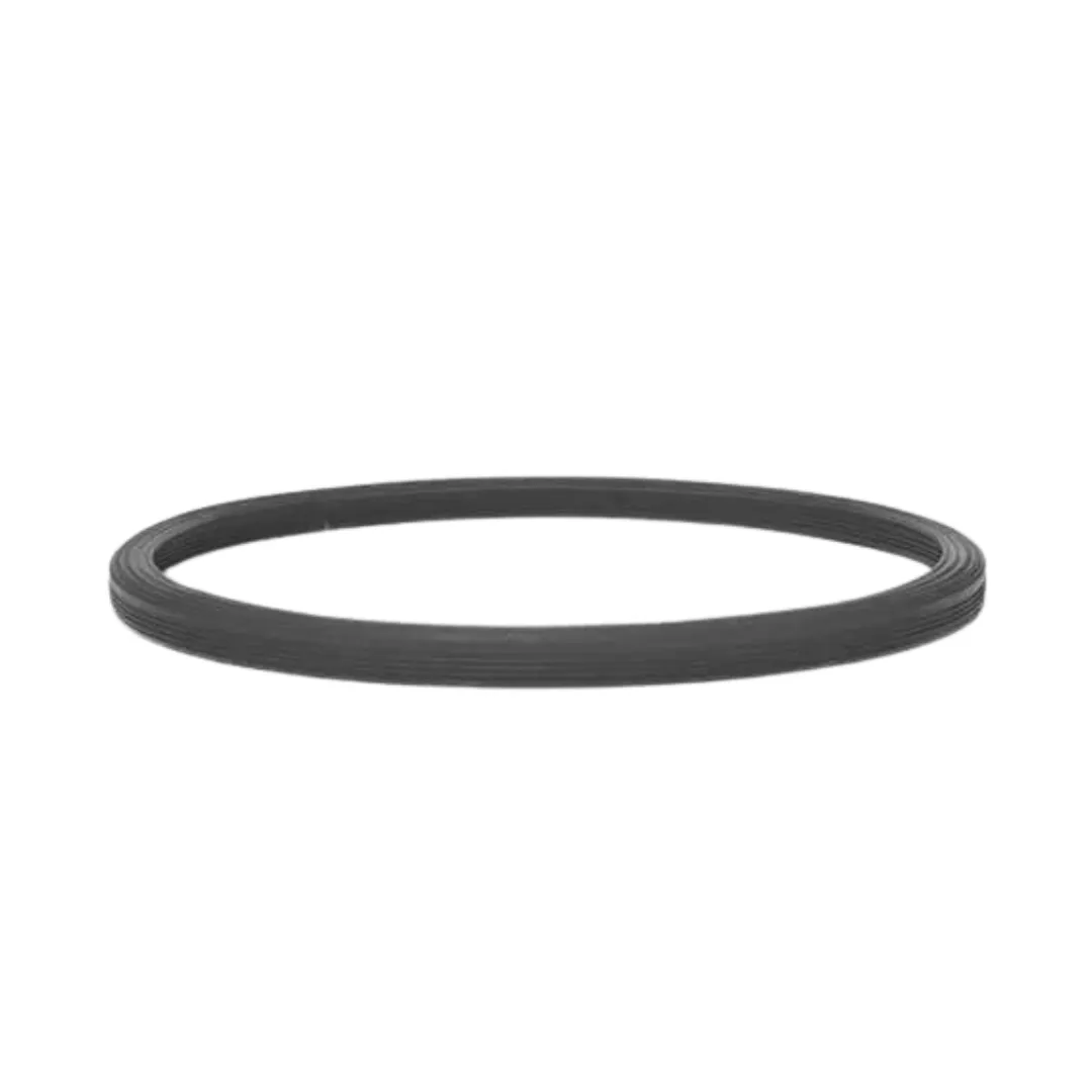 Joints pour portes d'autoclave de classe B - Icanclave
