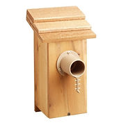 next_box_bird_guardian-min.jpg