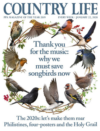 23/01/20 – SBS in Countrylife