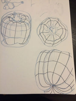 Green bell pepper drawing