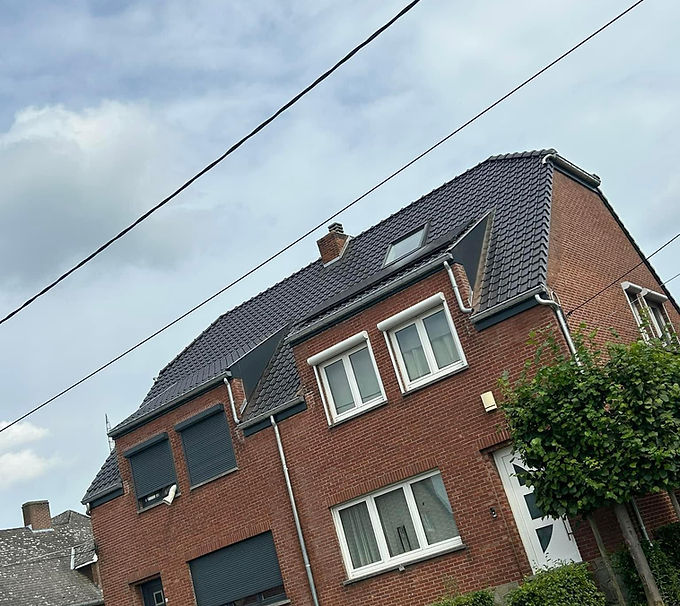 dak veel vormen na.jpg