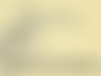 December Bulletin Released