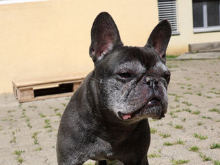 Jack