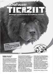 Schafuuser Tierziit_2006.jpg