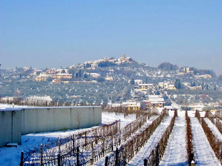 carmignano. NEVE SENZA DISAGI: IL SISTEMA DI PROTEZIONE CIVILE SUPERA LA PROVA