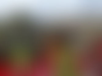 montale-quarrata. UNA PANCHINA ROSSA PER DIRE NO ALLA VIOLENZA SULLE DONNE