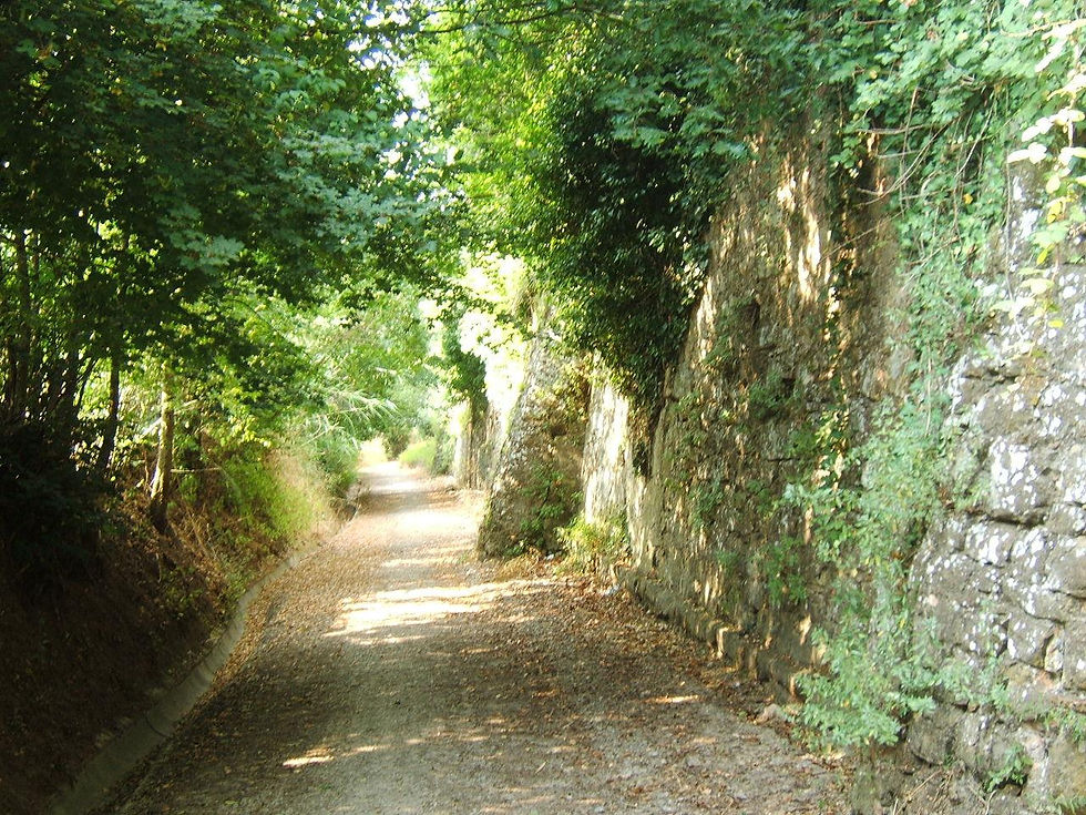 Il Parco del Bargo