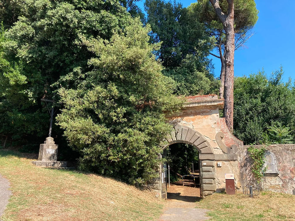 poggio. PARCO DEL BARGO, IL SINDACO PALANDRI CHIARISCE: "GESTIONE AL COMUNE, NESSUN ALLARMISMO"