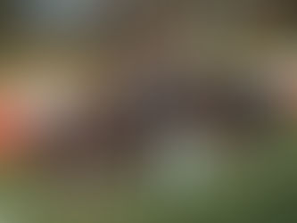 Efficient, composed, and calm – Viktoria wins 3-0 in Munich!