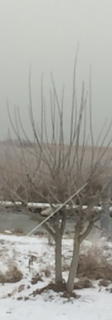 IMG_2334.jpeg