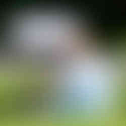 A woman in a pastel blue dress holds a delicate lavender parasol over her small dog, sitting in the grass next to the lavender field, shielding him from the hot sun