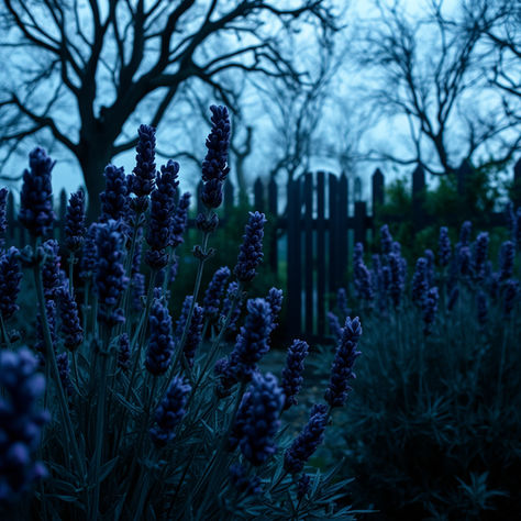 Lavender Plant Problems: Garden Curses And How You Can Break Them