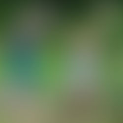  How to Handle Little Things That Trigger Anxiety 