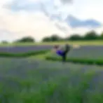 Yoga in Lavender Field