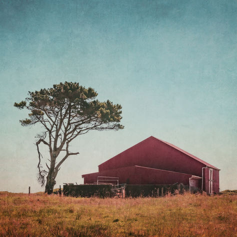 Adding Textures to Photos Using Blend Modes: A Step-by-Step Guide