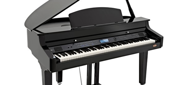 Piano De Cola Wendel Y Lung  Feurich Mod 218 Concert 1