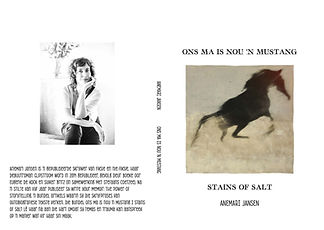 ons-ma-is-nou-n-mustang