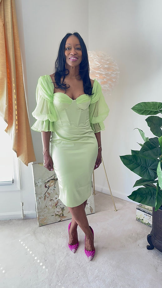ilona midi dress VERONICA BEARD Ilona taffeta midi dress