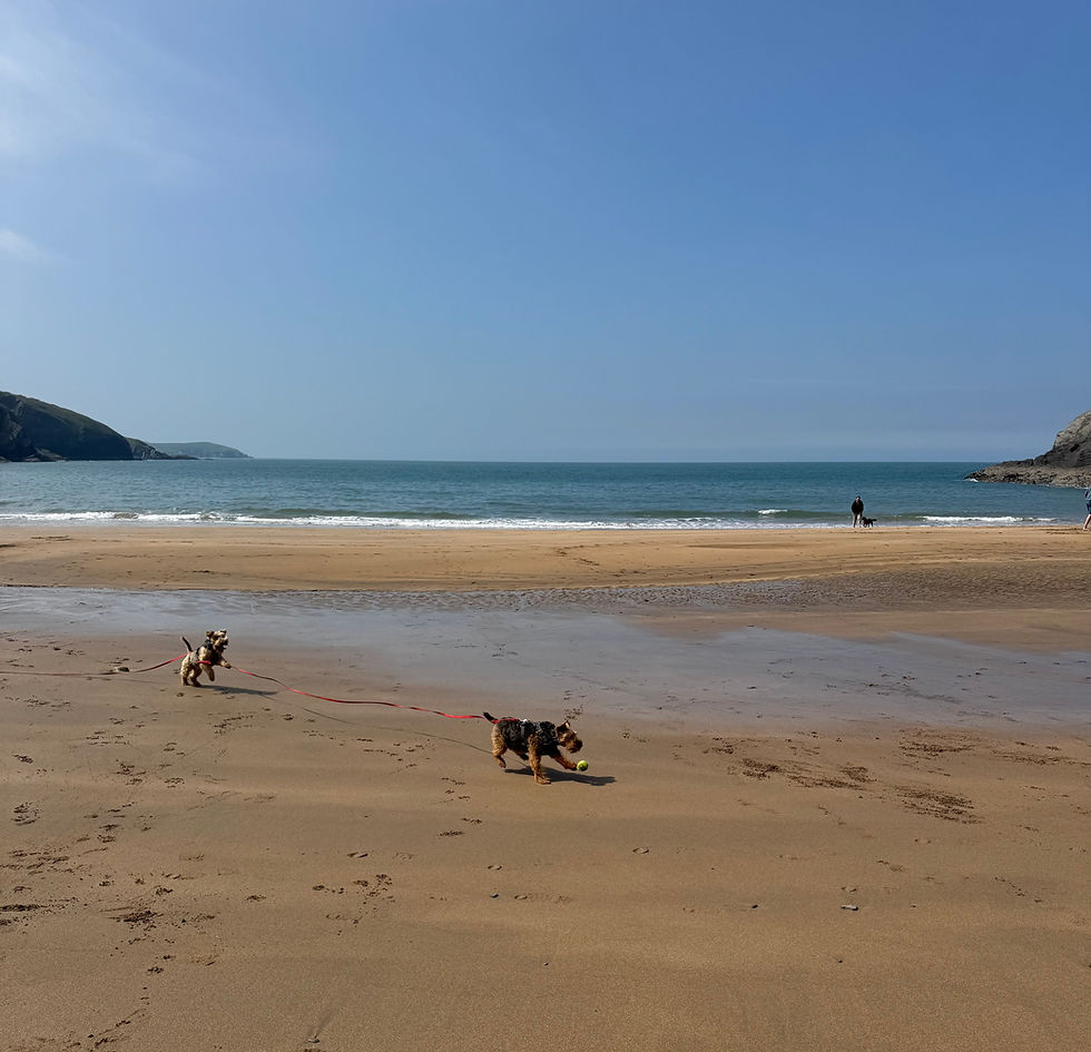 Enjoying free time on the beach.