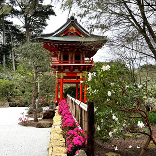 Japanese Tea Garden