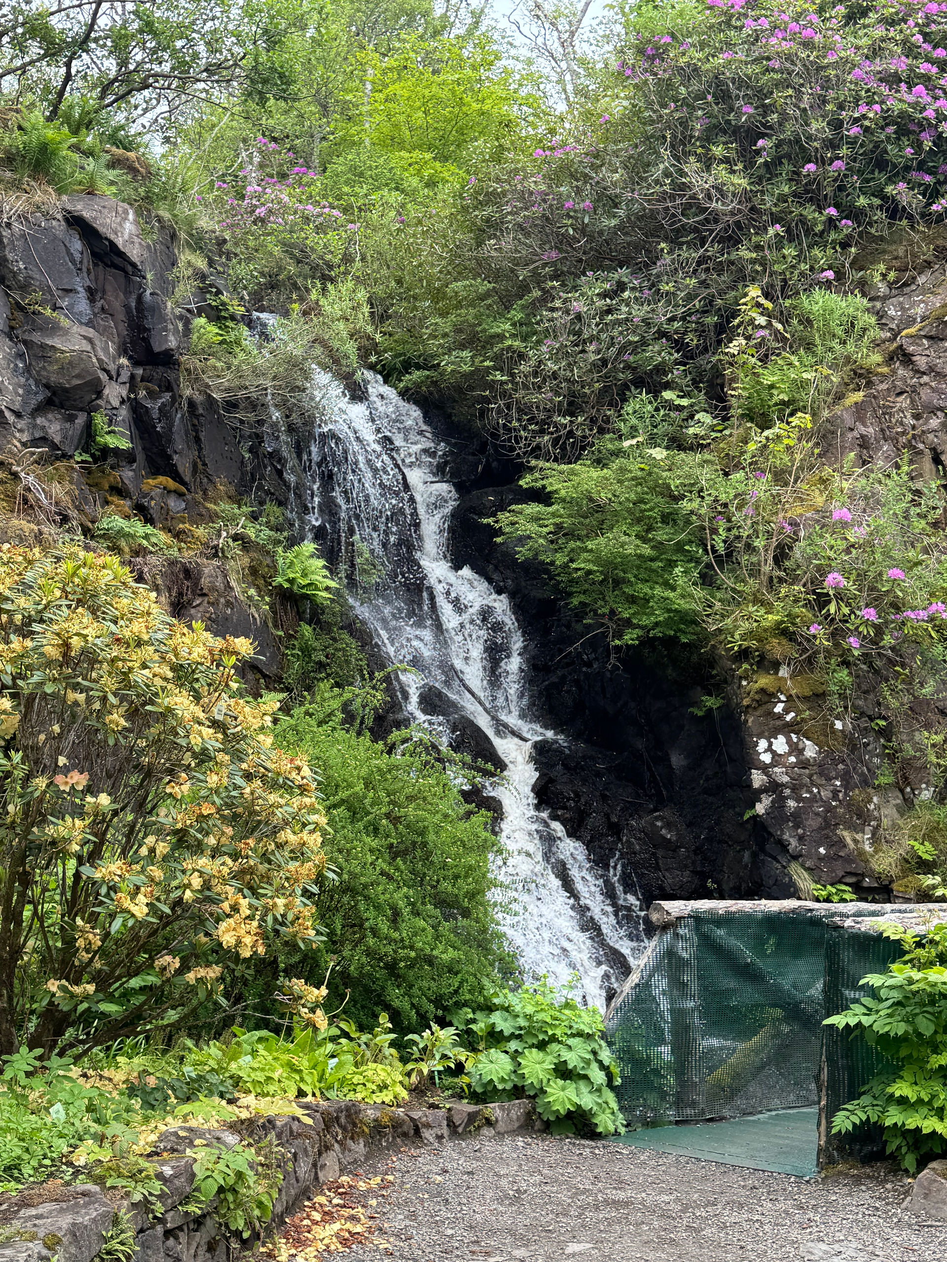 A waterfall at Dunvegan's gardens.