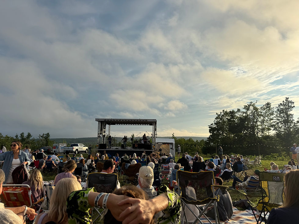 a summer concert at a local nature preserve.