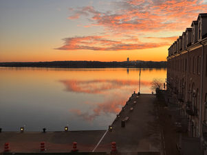 Finding Your Families