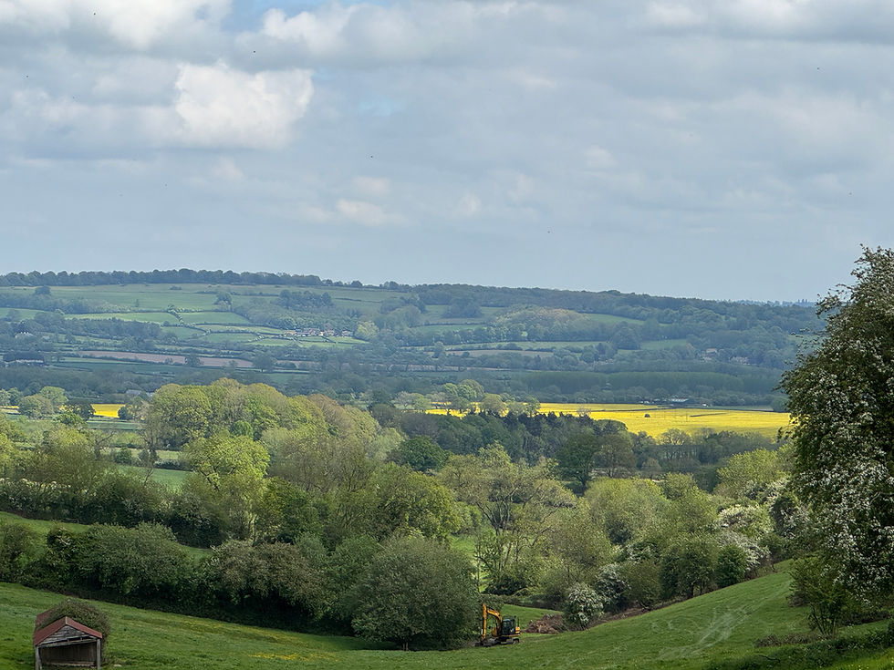 A view from the Cotswolds