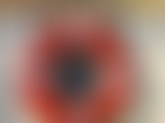 The Windjammer Angelique