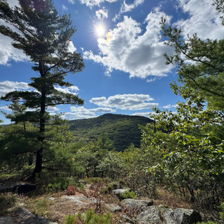Bald Mountain top and surroundings.