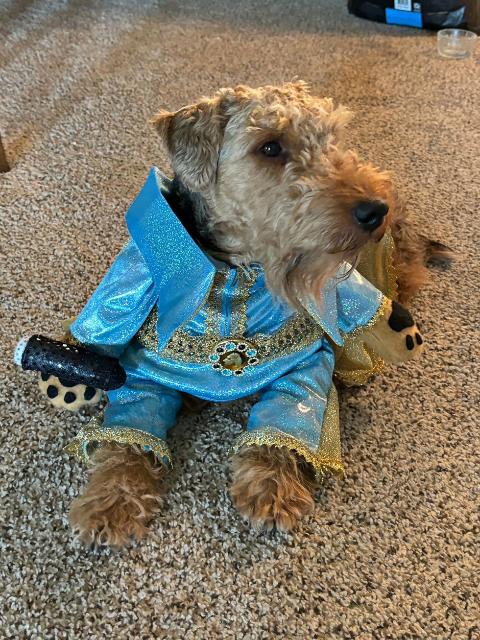 Elvis Presley costume by Katherine