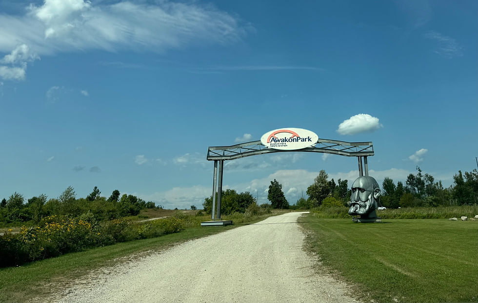 Awakon Park in Onaway, MI