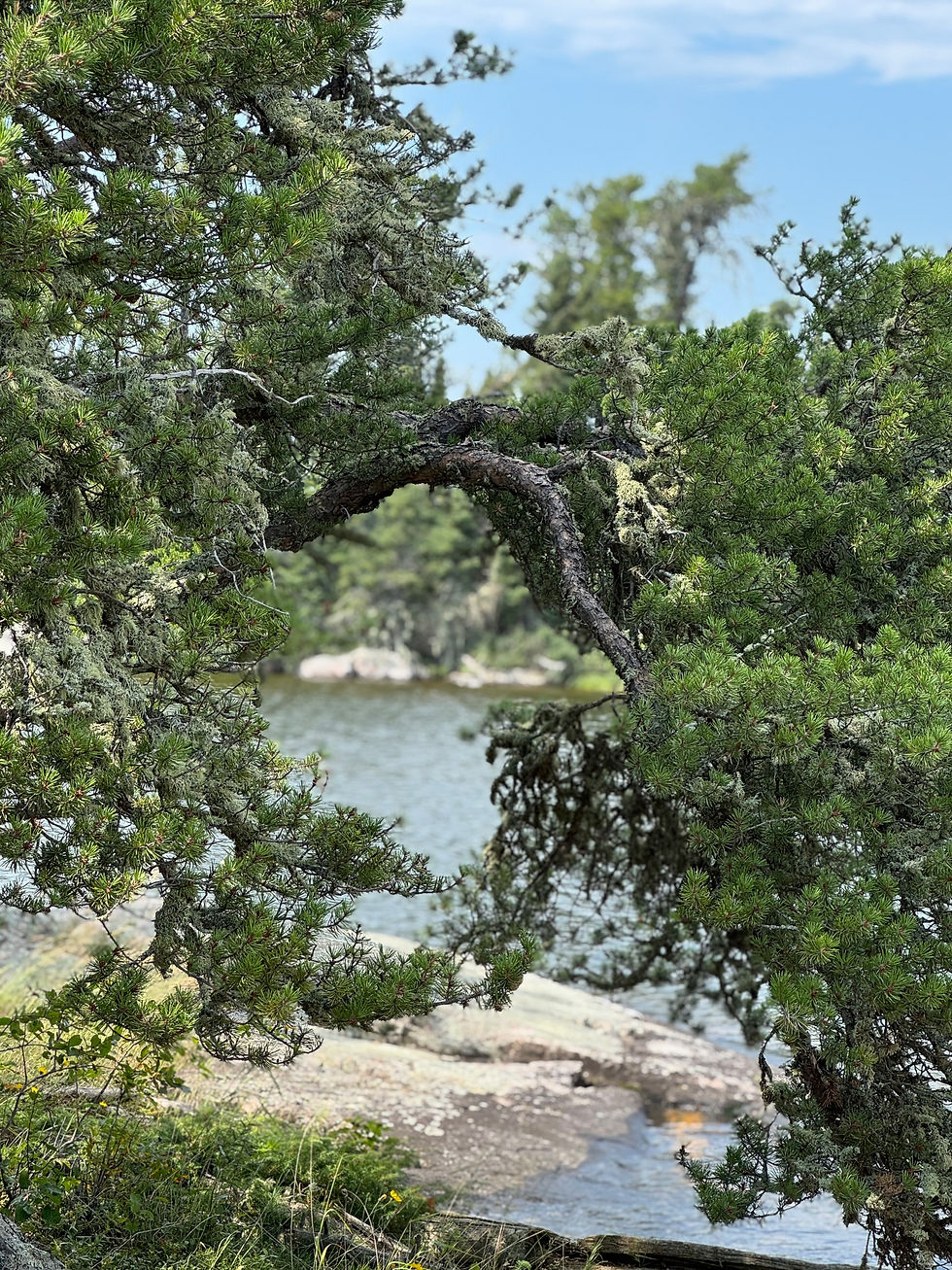 Nothing but beauty surrounding me.