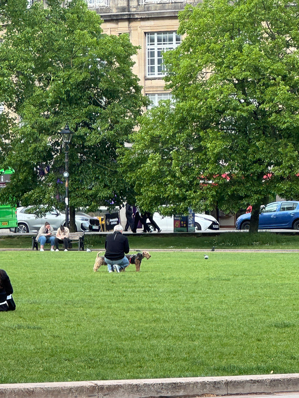 Brian and the dogs on College Green.
