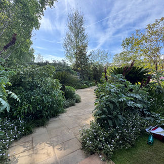 The elevations of the plants works perfectly here.