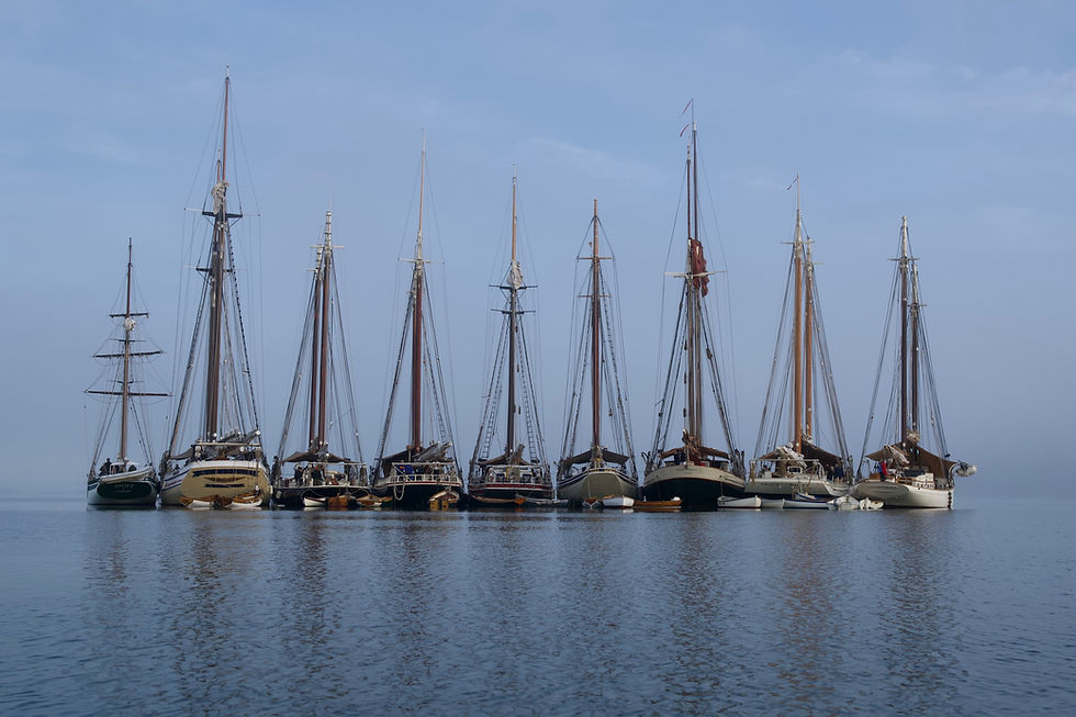 Windjammers all lined up for a gam.