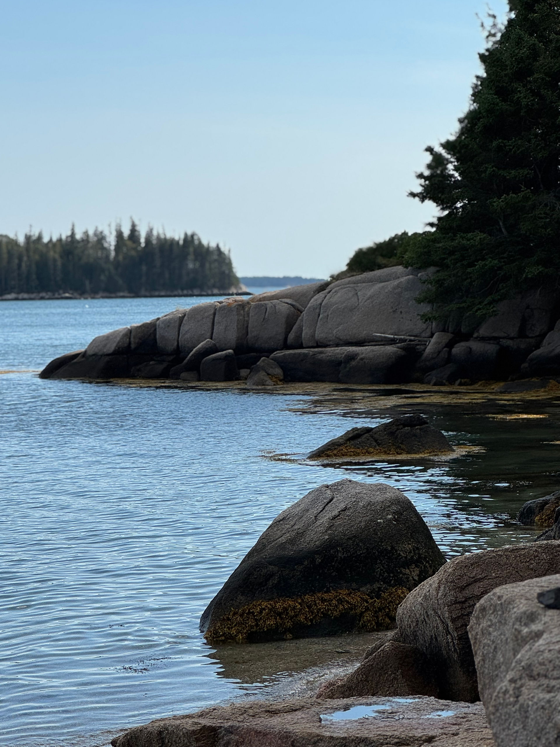 a peaceful scene overlooking the water.