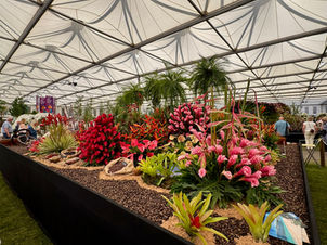 RHS Chelsea Flower Show