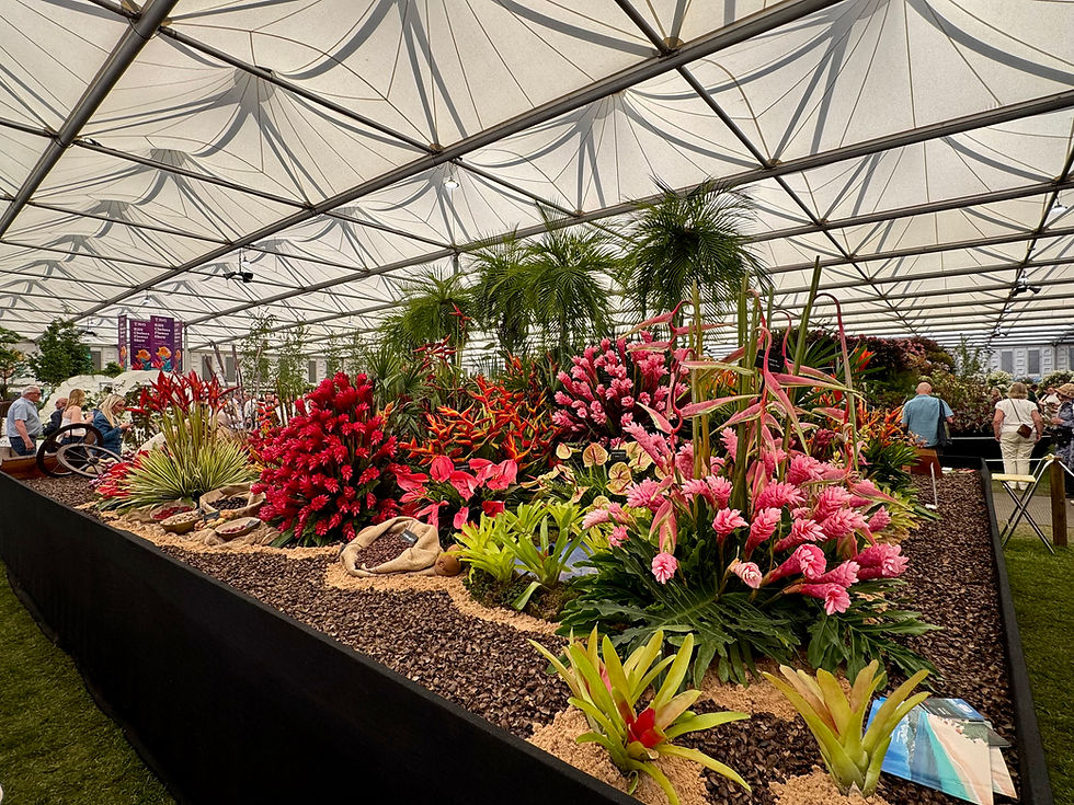 RHS Chelsea Flower Show